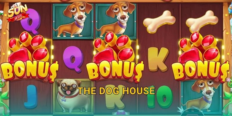 The Dog House Sunwin – Ngôi Nhà Cún Cưng Chứa Đầy Kho Báu Bất Ngờ