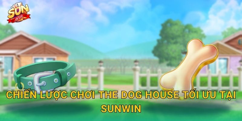 Chiến Lược Chơi The Dog House Tối Ưu Tại Sunwin